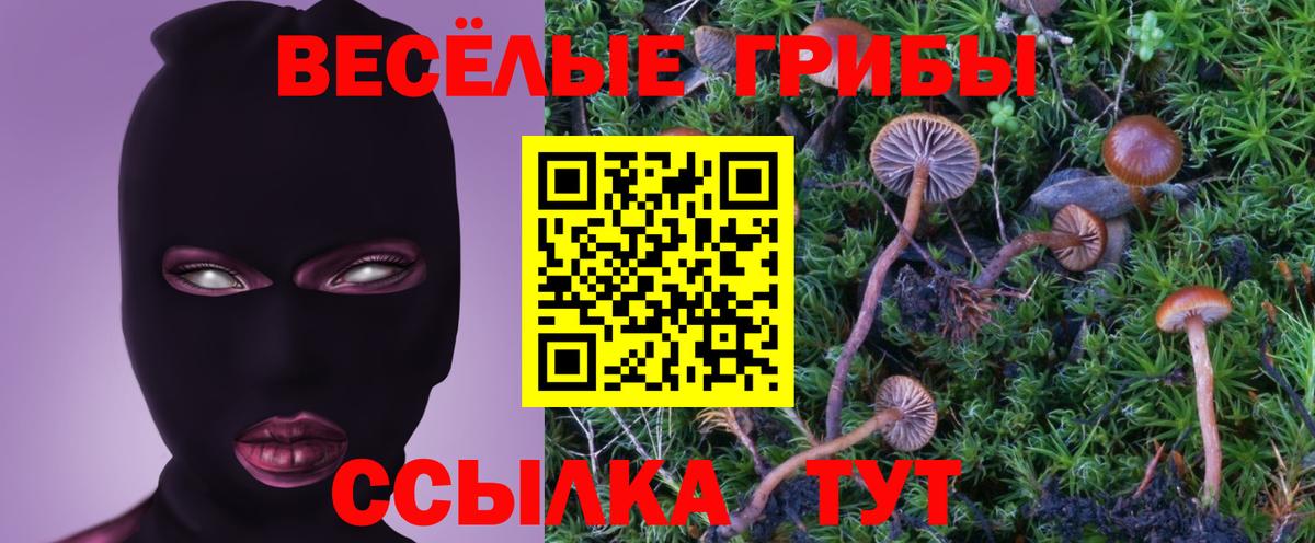 Псилоцибиновые грибы GOLDEN TEACHER Ульяновск